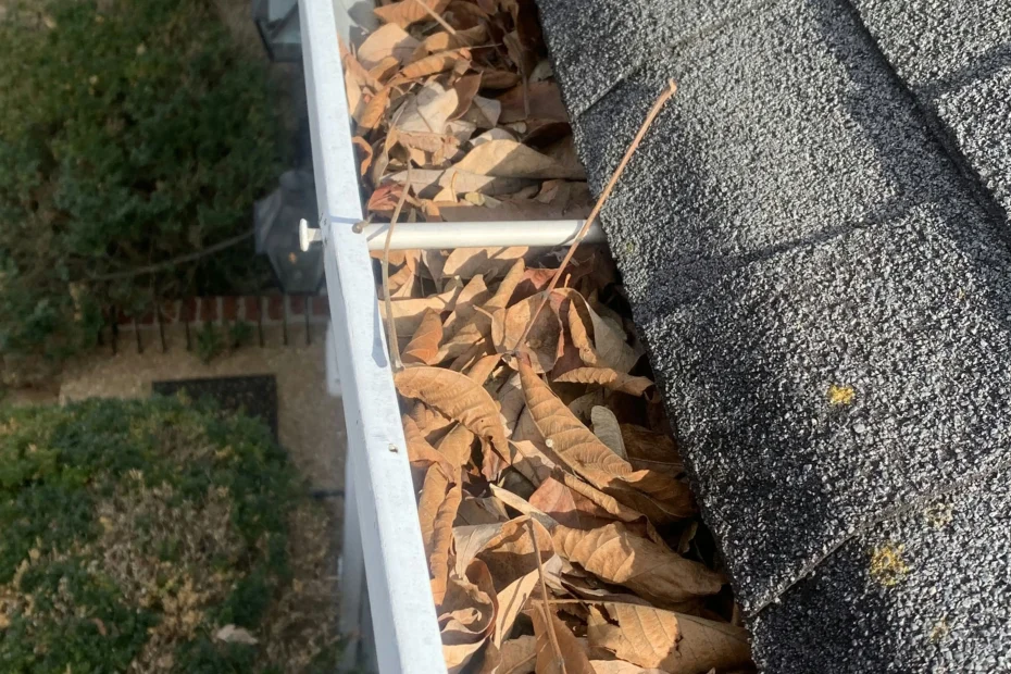 Gutter Cleaning La Grange KY